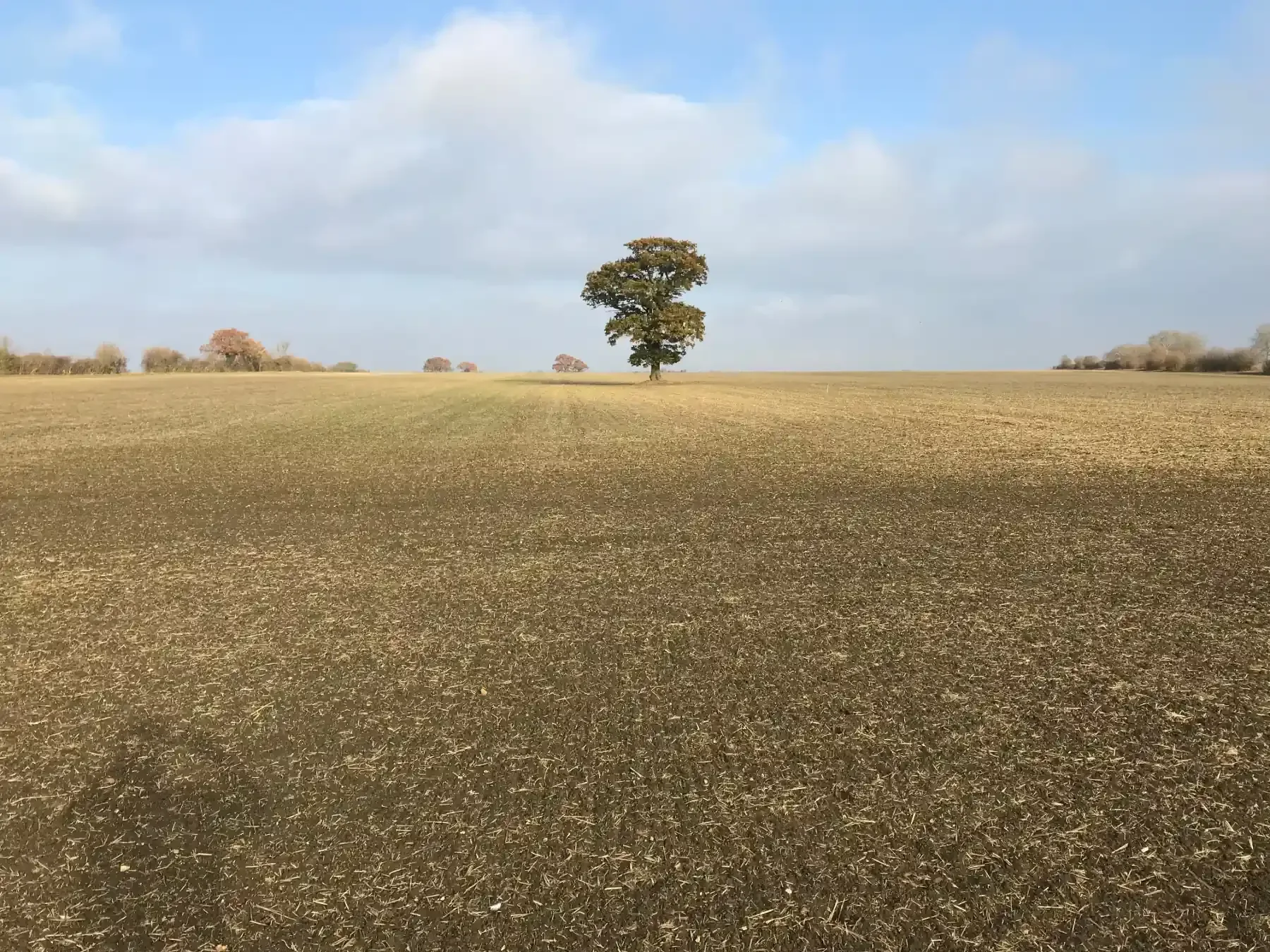 British Solar Renewables Knowl Green Solar Park Receives Planning Approval.