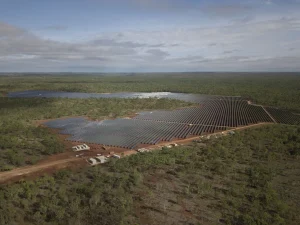 Aerial view of a large solar farm with countless rows of solar panels situated in a clearing surrounded by green forest. The site, and dirt roads lead to small buildings and vehicles along the edge of the solar array.