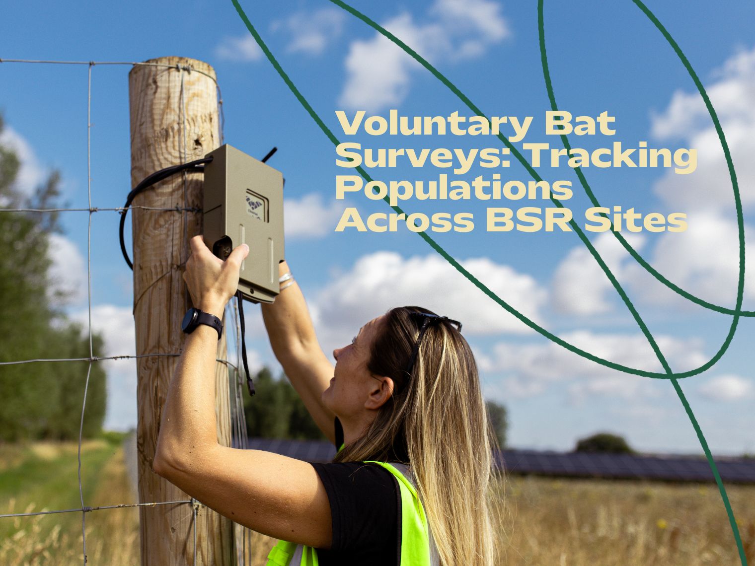 Voluntary Bat Surveys: Tracking Populations Across BSR Sites.