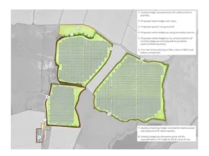 Site plan for a solar farm, showing three fields filled with solar arrays outlined in green, annotated with proposed hedgerow planting and ecological enhancements.