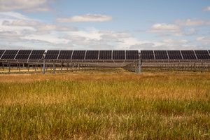 Rows of large solar panels installed above a wide grassy field under a blue sky with scattered clouds.