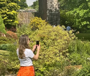 British Solar Renewables team member taking a photo of the biodiversity in Kilver Court Gardens