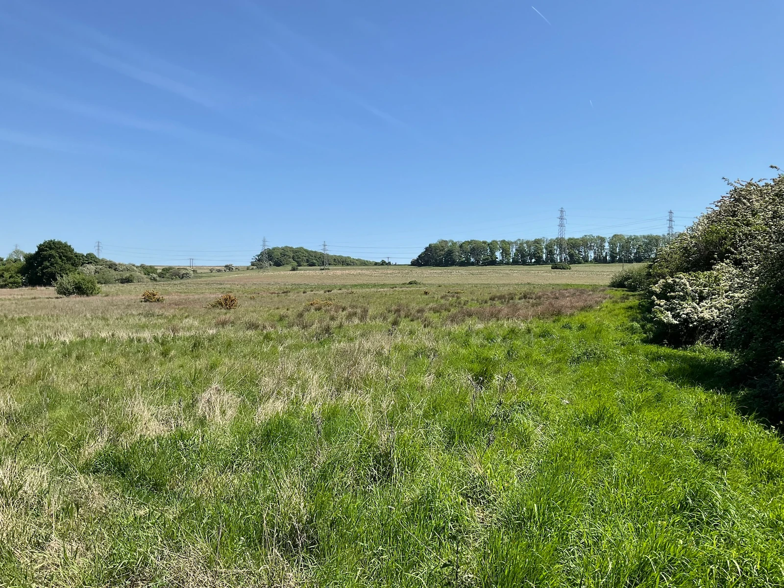 Little Crow Solar Park and BESS