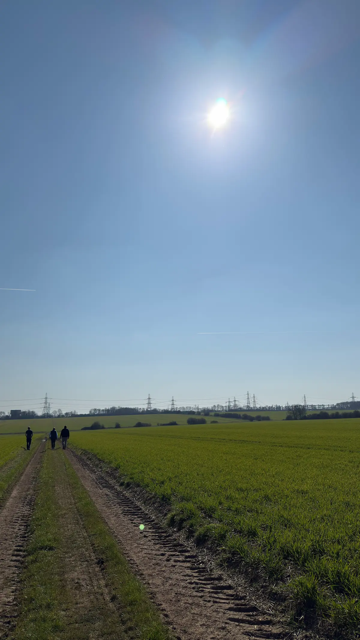 Berden Hall Solar Park 