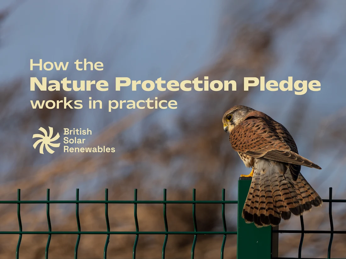 How the Nature Protection Pledge works in practice