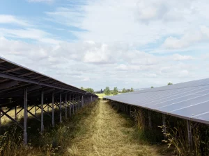 two solar panel rows and the field inbetween them with a blue cloudy sky